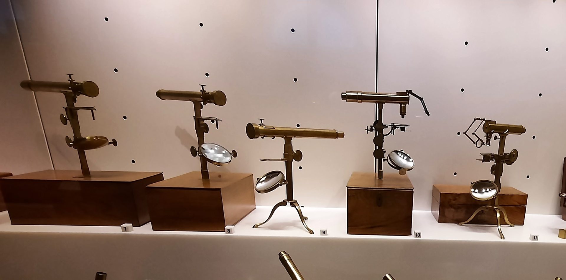 Giovan%20Battista%20Amici%27s%20microscopes%2C%20Museo%20Galileo%2C%20Florence%20-%2002.jpg
